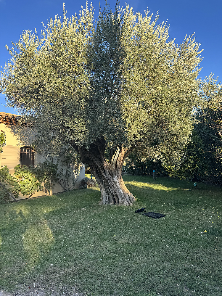 Projecteur solaire 60W